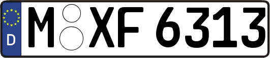M-XF6313