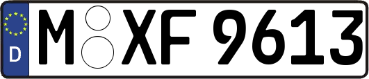 M-XF9613