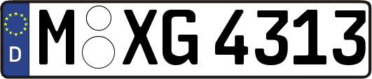 M-XG4313
