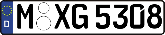 M-XG5308