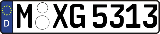 M-XG5313