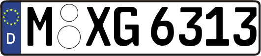 M-XG6313