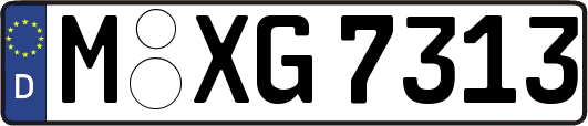M-XG7313