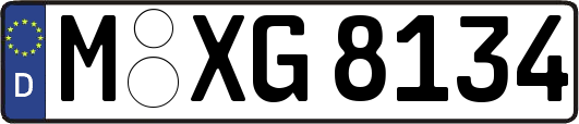 M-XG8134