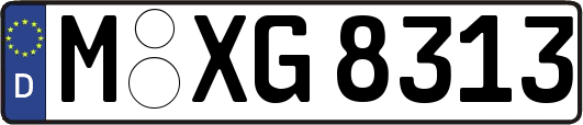 M-XG8313