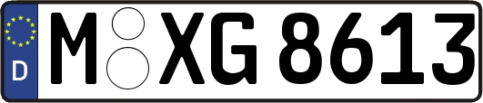 M-XG8613