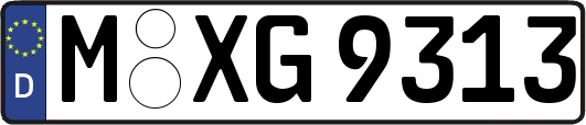 M-XG9313