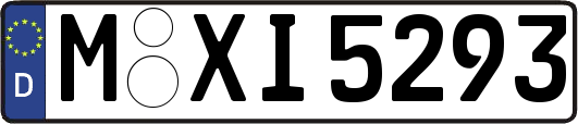 M-XI5293