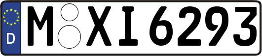 M-XI6293