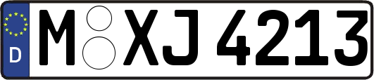 M-XJ4213
