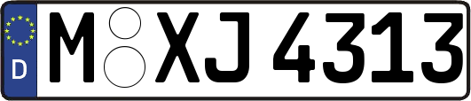 M-XJ4313