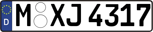 M-XJ4317