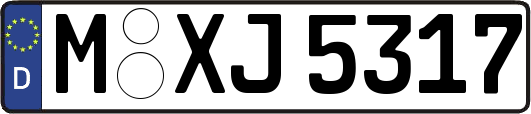 M-XJ5317