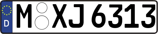 M-XJ6313