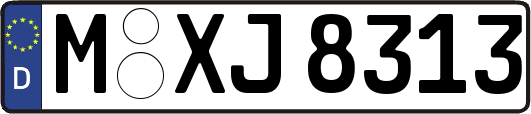 M-XJ8313