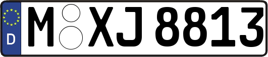 M-XJ8813