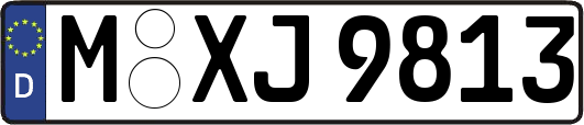 M-XJ9813