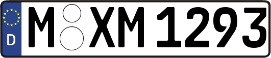 M-XM1293