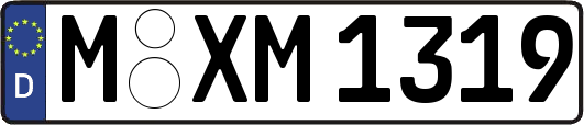 M-XM1319