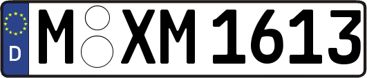 M-XM1613