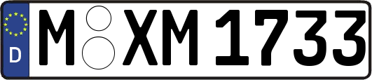 M-XM1733