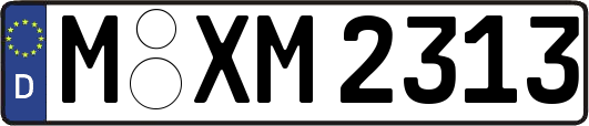 M-XM2313