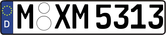 M-XM5313