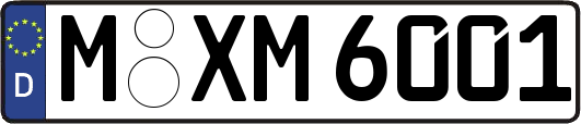 M-XM6001