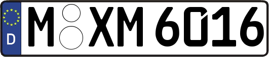 M-XM6016