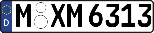M-XM6313