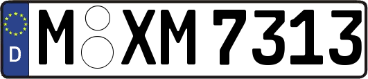 M-XM7313