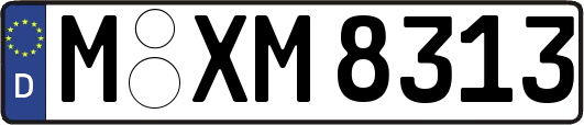 M-XM8313
