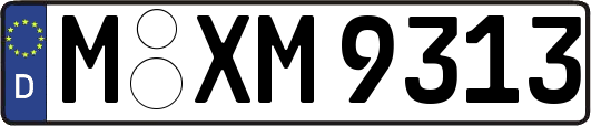 M-XM9313