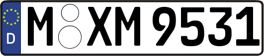 M-XM9531