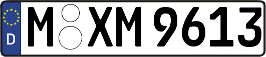 M-XM9613