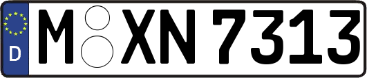 M-XN7313