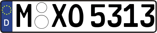 M-XO5313