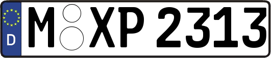 M-XP2313