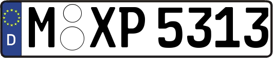 M-XP5313