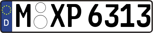 M-XP6313