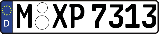 M-XP7313