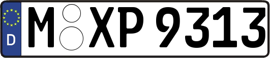 M-XP9313