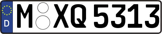 M-XQ5313