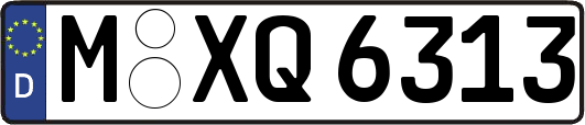 M-XQ6313