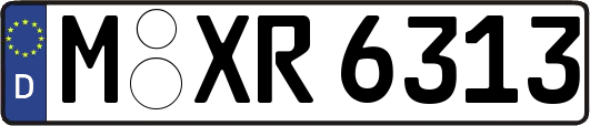 M-XR6313
