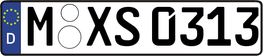 M-XS0313