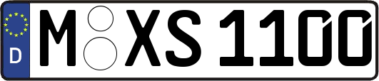 M-XS1100