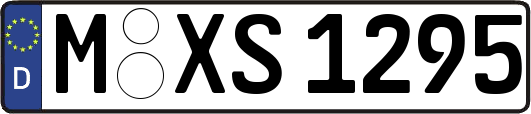 M-XS1295
