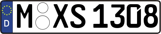 M-XS1308