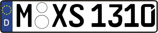 M-XS1310